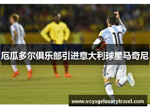厄瓜多尔俱乐部引进意大利球星马奇尼